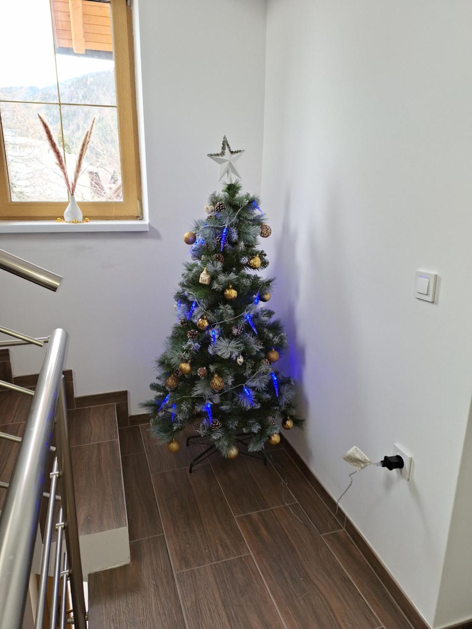Apartamento Alpska Roza Kranjska Gora Exterior foto