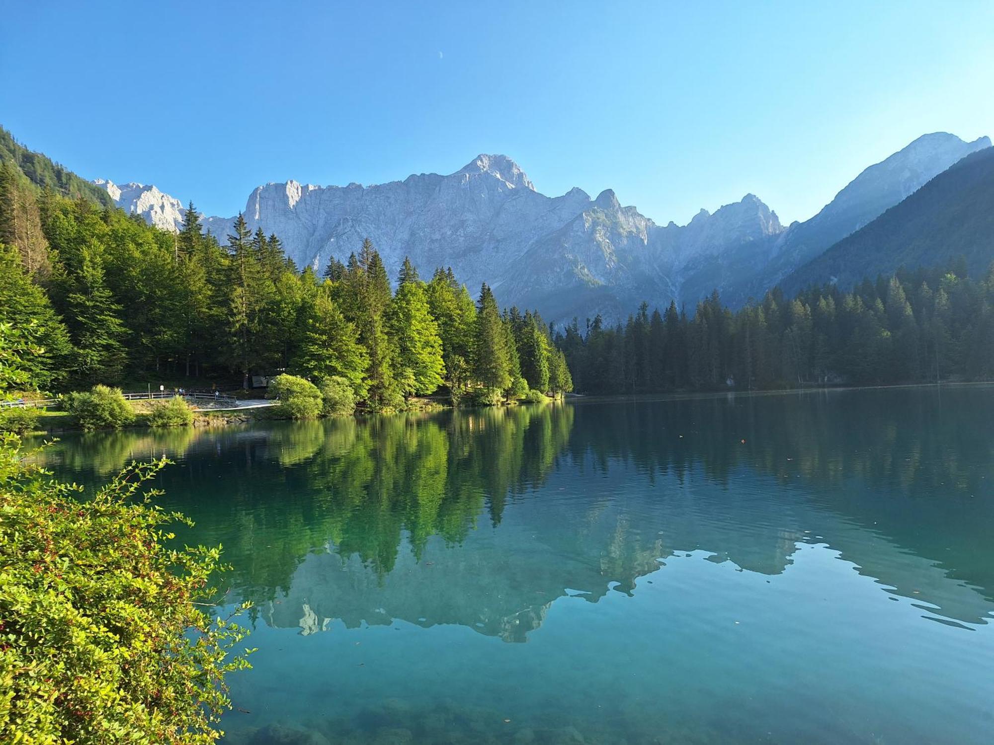 Apartamento Alpska Roza Kranjska Gora Exterior foto