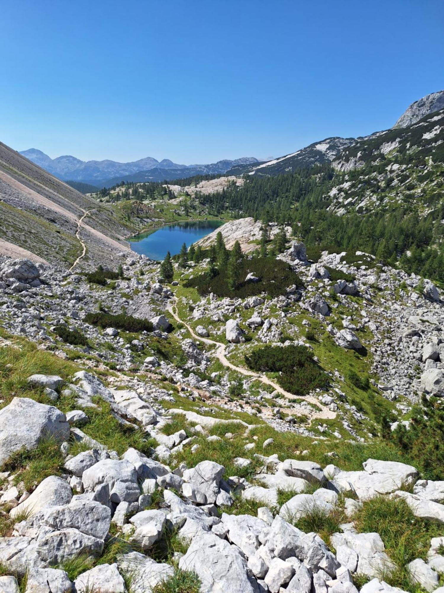 Apartamento Alpska Roza Kranjska Gora Exterior foto